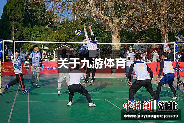 关于九游体育